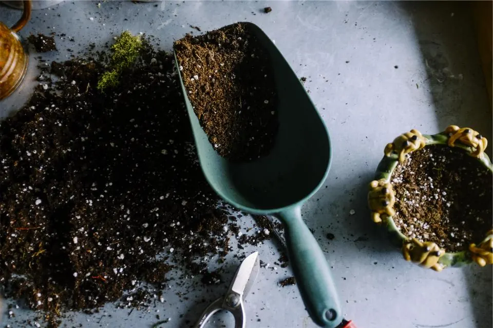 A garden trowel in a pile of fresh potting soil